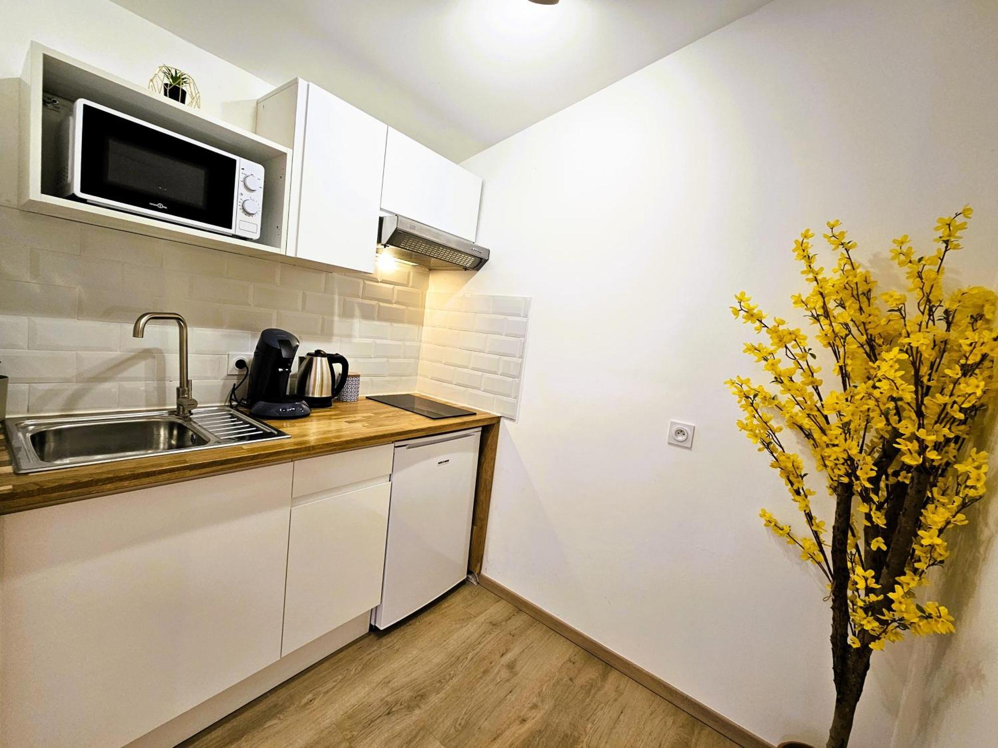 Tout Confort ! Centre-Ville, Climatisation, Parking, Wifi, Calme, Tv 카르카손 외부 사진